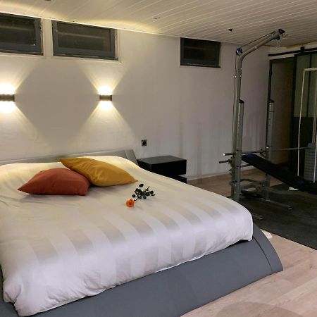Joli Loft Dans Villa A Cornas エクステリア 写真